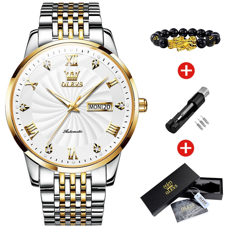 Men's Luxury Mechanical Watch - fittedfortheoccasion